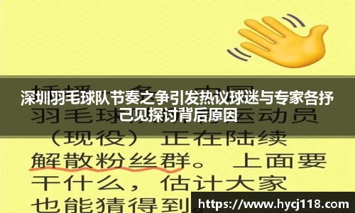 深圳羽毛球队节奏之争引发热议球迷与专家各抒己见探讨背后原因