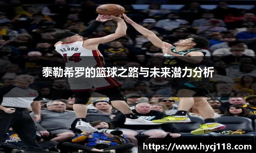 zoty中欧